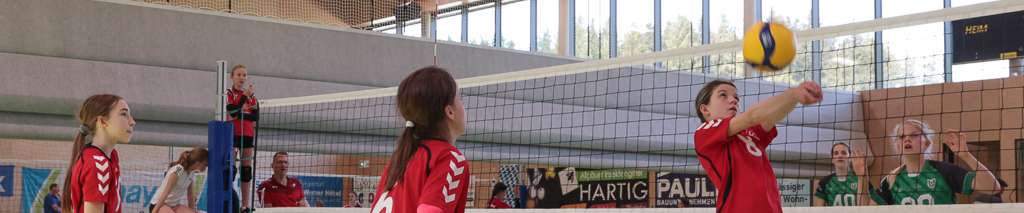 Klicken um die Schaltflächen zu zeigen oder zu verbergen