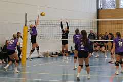 41: VG1 VG4 VG5 17-01.26-49