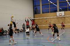 73: VG1 VG4 VG5 17-01.26-81