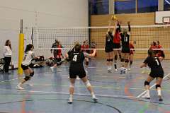 74: VG1 VG4 VG5 17-01.26-82