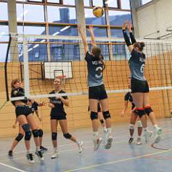 31: V2 VG3 07-12-24-36