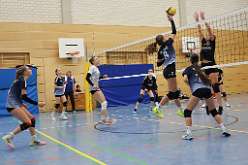 45: V2 VG3 07-12-24-51