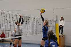 10: VG2 VG3 16-11-24-10