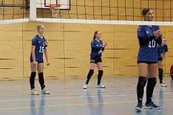 31: VG2 VG3 16-11-24-31