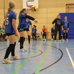 33: VG2 VG3 16-11-24-33