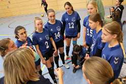 4: VG2 VG3 16-11-24-4