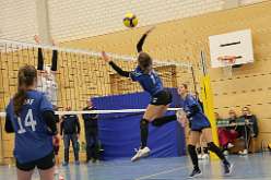 40: VG2 VG3 16-11-24-40