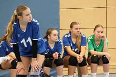 11: VG3 VG4 11-01-25-11