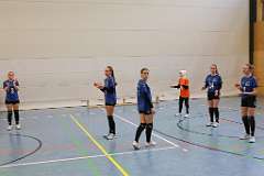 17: VG3 VG4 11-01-25-17