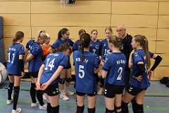 3: VG3 VG4 11-01-25-3