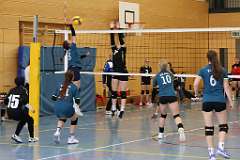 17: VG3 VG5 04-10-25-17