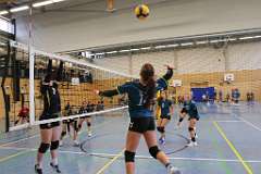 8: VG3 VG5 04-10-25-8