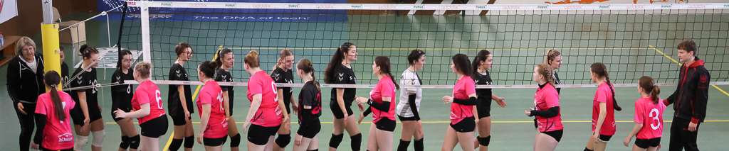 Klicken um die Schaltflächen zu zeigen oder zu verbergen